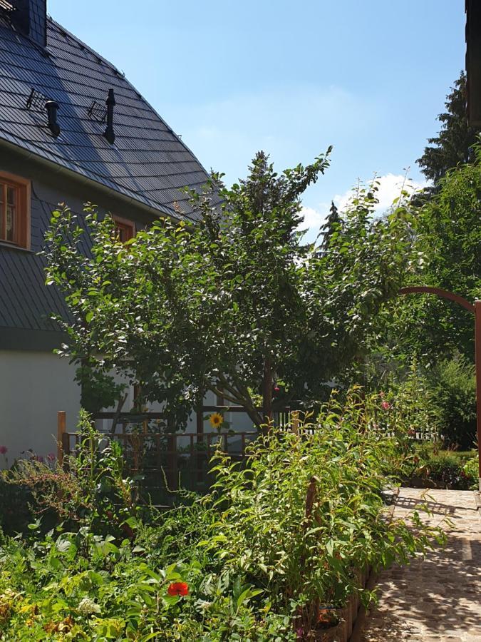 Oekologische Ferienwohnung Becker Kottmar Εξωτερικό φωτογραφία